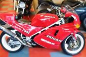 Ducati 888 SP2 freshly rebuild engine for sale