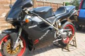 Ducati SENNA for sale