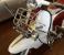 Picture 7 - Lambretta Li 150 (F) reg white/ red motorbike