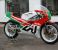 Picture 3 - Aprilia AF1 250 GP 1988 motorbike