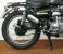 Picture 6 - Royal Enfield 500 EFI WOODSMAN - CHROME - Brand NEW - LOW Price - LAST ONE motorbike