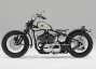 Picture 4 - Zero Type 8 in Stunning Metallic/Cocoa with Harley-Davidson 5 Speed Transmission motorbike