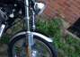 Picture 2 - Harley-Davidson XL1200C Sportster Custom 100th Anniversary, 1500 Miles motorbike