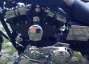Picture 3 - Harley-Davidson XL1200C Sportster Custom 100th Anniversary, 1500 Miles motorbike