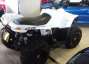 Picture 3 - Quadzilla RS8 rs8 4X4 Automatic 2012/12 motorbike