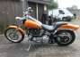 Picture 3 - Harley-Davidson 1340cc Softail Custom Immaculate motorbike