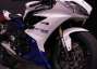 Picture 9 - 2013 Triumph Daytona 675 with 1300 Miles, Lovely Spec motorbike