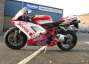 Picture 10 - Ducati 1098 XEROX Paint 58 Termis, Fabrizio Replica motorbike