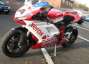 Picture 11 - Ducati 1098 XEROX Paint 58 Termis, Fabrizio Replica motorbike