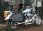 Picture 3 - Harley-Davidson 2011 Brilliant Silver Pearl, Stage 1 Sportster Custom XL1200C motorbike