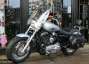 Picture 6 - Harley-Davidson 2011 Brilliant Silver Pearl, Stage 1 Sportster Custom XL1200C motorbike