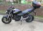 Picture 8 - Honda CB 600 F-B Hornet Motorcycle motorbike