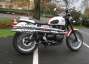 Picture 2 - Triumph Scrambler 2013 custom red white blue paint work, single seat motorbike