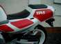 Picture 9 - Yamaha TZR 250 Reverse Cylinder 3MA 1989 Very Tidy Must See motorbike