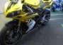 Picture 2 - 2007 R1 Yamaha 50th Anniversary Yellow motorbike