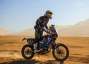 Picture 6 - KTM 450 RR Factory Rally Bike Dakar motorbike