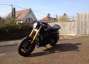 Picture 4 - Harley-Davidson XR HDLS 2010 XR1200 Sportster motorbike