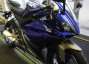 Picture 4 - Brand New Yamaha YZF R125 Race Blue motorbike