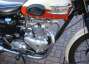 Picture 4 - Triumph Trophy TR6 1960 Classic Motorcycle motorbike