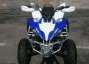 Picture 3 - Yamaha YFM 250 Raptor Special Edition - 2 Year Warranty motorbike