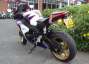 Picture 8 - Honda CBR1000RR-A Fireblade, 4916 Miles, Red/White/Blue motorbike