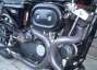 Picture 7 - Harley-Davidson Sportster 1000cc Cruiser motorbike