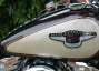 Picture 11 - Harley-Davidson Fat Boy 1998. 95th Anniversary Model. 1340 cc Evolution Engine motorbike