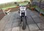 Picture 4 - Harley-Davidson Fat Bob FXDF 2009 motorbike