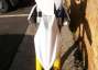 Picture 5 - Husqvarna FC 250 2014 MX Bike motorbike