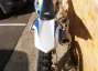 Picture 10 - Husqvarna FC 250 2014 MX Bike motorbike