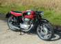 Picture 2 - 1955 MV Agusta 175 CS Turismo Lusso motorbike