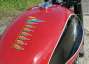 Picture 9 - 1955 MV Agusta 175 CS Turismo Lusso motorbike