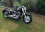 Picture 3 - Harley-Davidson FLSTFIA 15th Anniversary Fat Boy motorbike