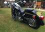 Picture 5 - Harley-Davidson FLSTFIA 15th Anniversary Fat Boy motorbike