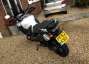 Picture 4 - 2013 Yamaha XT 1200 Z Super Tenere White - full luggage and lots of extras motorbike