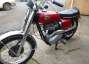 Picture 7 - BSA 650 Hornet motorbike