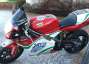 Picture 2 - 2002 Ducati 998S 