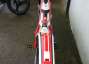 Picture 4 - Gas Gas TXT PRO Racing 250 30th Anniversary red and white brand new motorbike