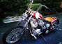 Picture 9 - Custom Built Motor Cycle Bobber Chopper motorbike