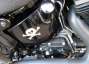 Picture 7 - Harley-Davidson FLSTSB Cross Bones motorbike