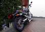 Picture 3 - Harley-Davidson FXSTS Springer Softail motorbike