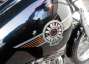 Picture 7 - Harley-Davidson FXSTS Springer Softail motorbike