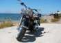 Picture 6 - 2011 Harley-Davidson Softail Motorcycle Spanish in Spain motorbike