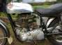 Picture 9 - BSA BB32 Gold Star Scrambler 1955 350cc, classic Enduro, Motocross motorbike