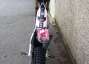 Picture 5 - Gas Gas 280 factory 2013, trials bike ex-condition very little use motorbike