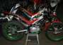 Picture 10 - TRW Future Montesa Honda 300 Ex James Dabill - World class trial bike motorbike