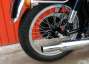 Picture 4 - BSA DB32 Gold Star 1956 original factory frame and engine pairing motorbike