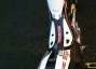 Picture 7 - Montesa 4rt trials bike, 2011 road reg, V5, serviced ready to ride motorbike