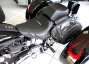 Picture 11 - Harley-Davidson FLSTF Fat Boy Softail Trike. Very Special motorbike