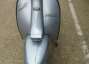 Picture 2 - Lambretta Li125 